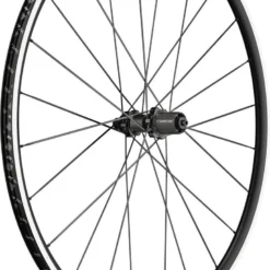 Dt-swiss DT Swiss P 1800 Spline 23 700c Rear Wheel | 9x130mm | Skates
