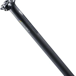 RITCHEY WCS 1-Bolt Seatpost 0mm Offset Blatte